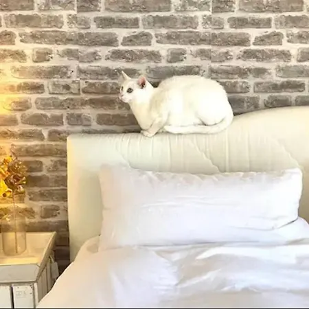 Wohnung