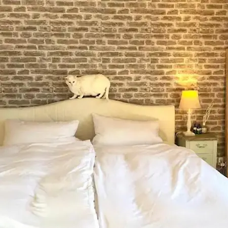 Apartment Wohnung